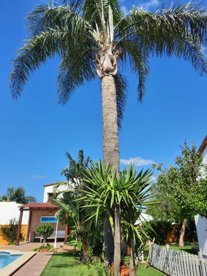 Chalet La Huerta Con Piscina Y Wifi Conil De La Frontera Exterior photo
